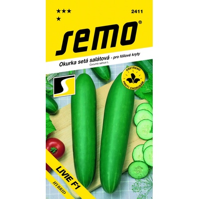 UHORKY šalátové fóliovníkové Livie F1