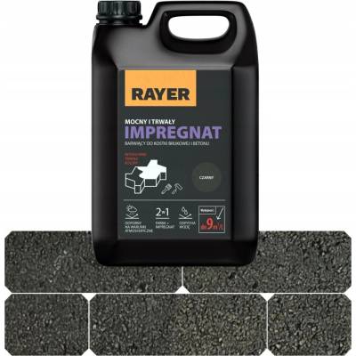 Barvicí impregnace Rayer na zámkovou dlažbu černá 5 l