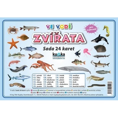 Zvířata ve vodě - Sada 24 karet - Petr kolektiv autorů