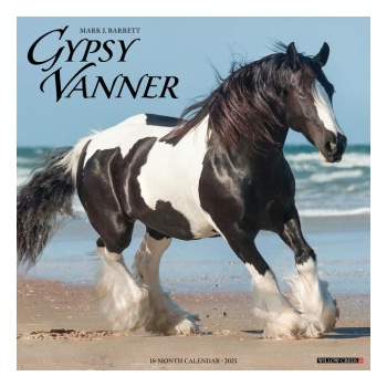 Willow Creek Press Calendars Gypsy Vanner Horse 2026 12 X 12 Wall Calendar | Willow Creek Press