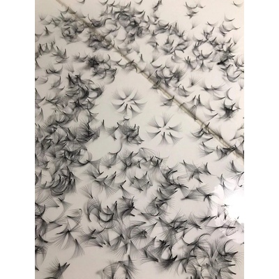 LASH BY HOLLY