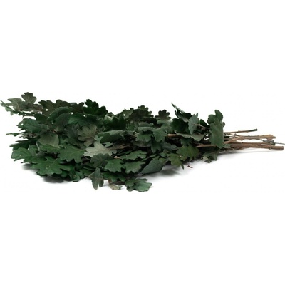 Stabilizované dubové listy – zelené