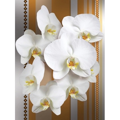 Preinterier Fototapeta panel - PL0109 - Biele kvety na oranžovom pozadí vlies - 206cm x 275cm
