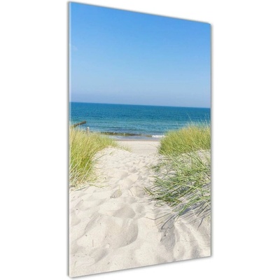 Vertikálny foto obraz sklo tvrdené Morské duny 50x100 cm