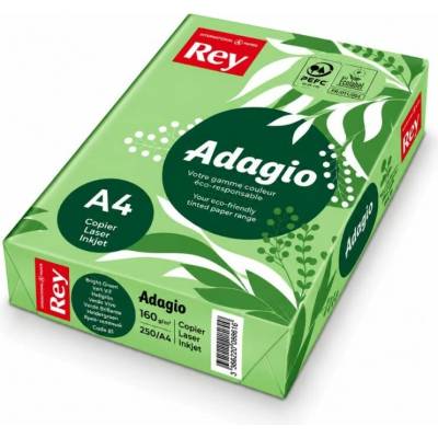 Rey Adagio barevný papír A4, 160g,250l, sv.zelený