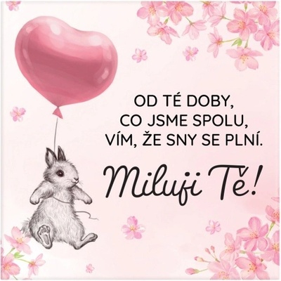 ALBI Magnetka - Děkuji