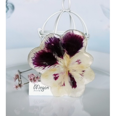 Meganflo Брошка голяма бяло лилава налба