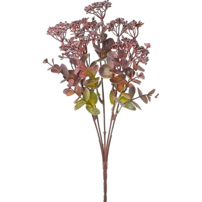 ZELEŇ SEDUM BORDOVÉ 32CM
