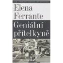 Geniální přítelkyně 3 - Příběh těch, co odcházejí, a těch, kteří zůstanou