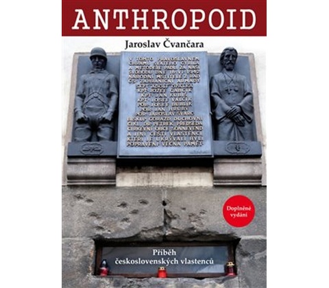 Anthropoid