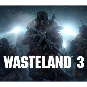 Wasteland 3