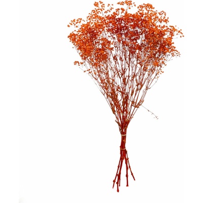 Gilde Kytice gypsophila "Lifetime"