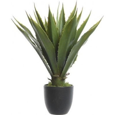 Umělá agáve, v květináči, zelená, výška 55 cm
