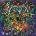 Them Witches - Vortex LP