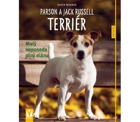 Parson a Jack Russell teriér