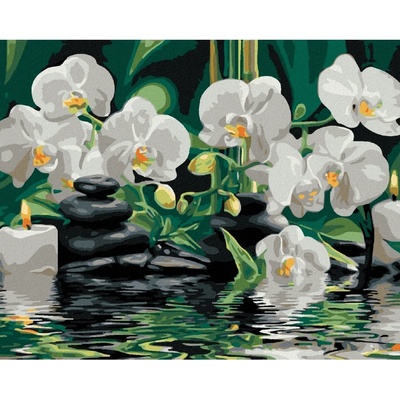 Diamondi Diamantové malování ORCHIDEJE A LÁVOVÉ KAMENY 40 x 50 cm vypnuté plátno na rám