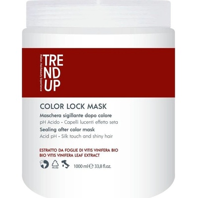 Trend Up Color Lock Maska pro barvené vlasy 1000 ml