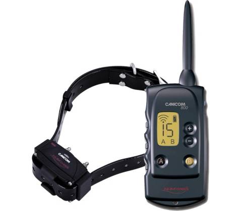 Num´Axes Canicom 800