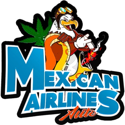 Fast Buds Mexican Airlines AUTO semienka neobsahujú THC 10 ks