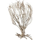 Lucky Reptile Savannah Bush 70 cm