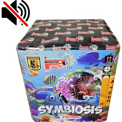 SYMBIOSIS tichý ohňostroj 36 výstřelů 20 mm