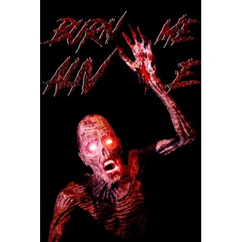 ASDstudio Burn Me Alive (PC)