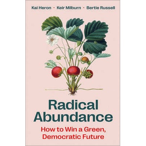 Radical Abundance (ISBN: 9780745351353)