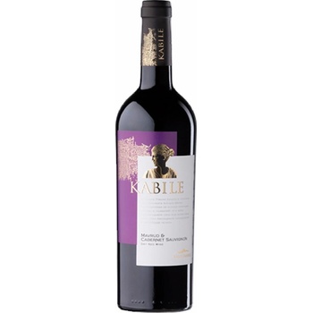 Image 1 of Villa Yambol КАБИЛЕ МАВРУД КАБЕРНЕ