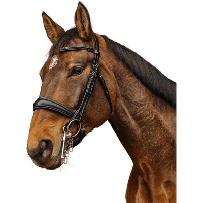 NORTON Uzda PRO Basal černá