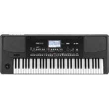 Korg PA300