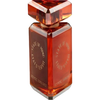State Of Mind Turbulence - EDP 100 ml унисекс