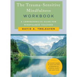 The Trauma-Sensitive Mindfulness Workbook | Treleaven, David A (ISBN: 9781324030645)