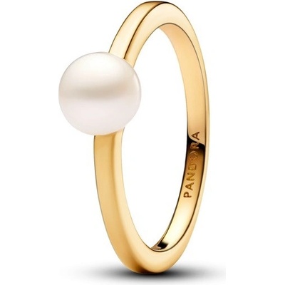 Pandora Shine 163157C01