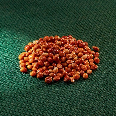 AROS proso seté – červené