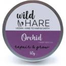 Ancient Wisdom Wild Hare Tuhý šampon Orchidej 60 g
