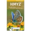 Hmyz