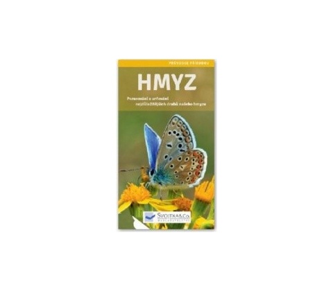 Hmyz