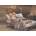 Anatolian - Puzzle No Place Like Home II - 1 000 piese