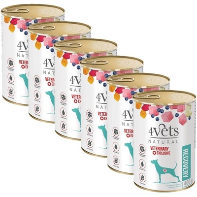 4Vets Natural Veterinary Exclusive Recovery 6 x 400 g