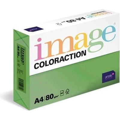 Image Coloraction Papír barevný A4/500/80g Dublin tmavě zelená 19 bal