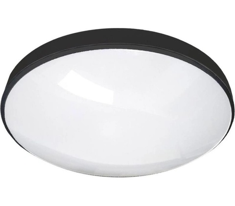 Qtec Q-234CP