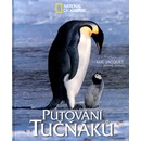 Putování tučňáků - National Geographic - Jerome Maison