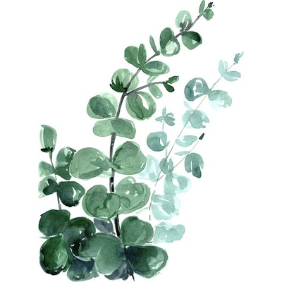 Plagát, Obraz - Watercolor eucalyptus bouquet, Blursbyai, 30 × 40 cm