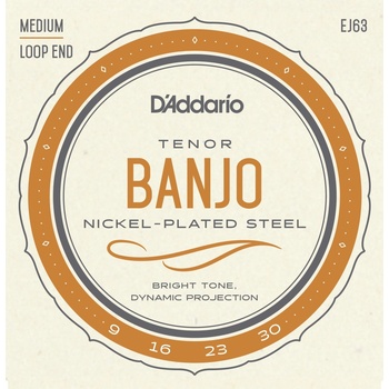 D'addario EJ63
