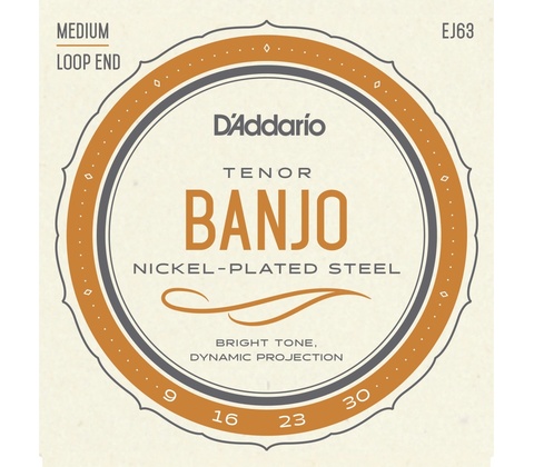 D'addario EJ63