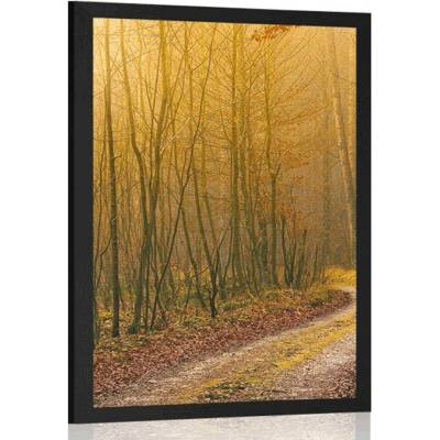 Plakát cestička do lesa - 20x30 silver