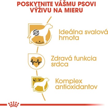 Royal Canin Boxer 3 kg