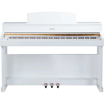 Henry`s Veretis HDP301