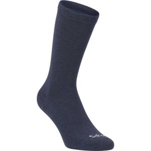 Scholl Wool regular 39-42