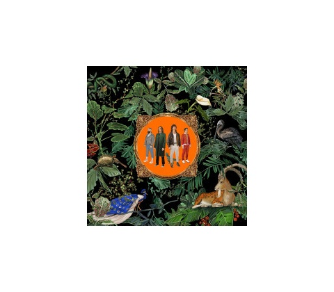 Amazing Things - Don Broco CD